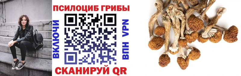blacksprut вход  Алупка  Галлюциногенные грибы мицелий 
